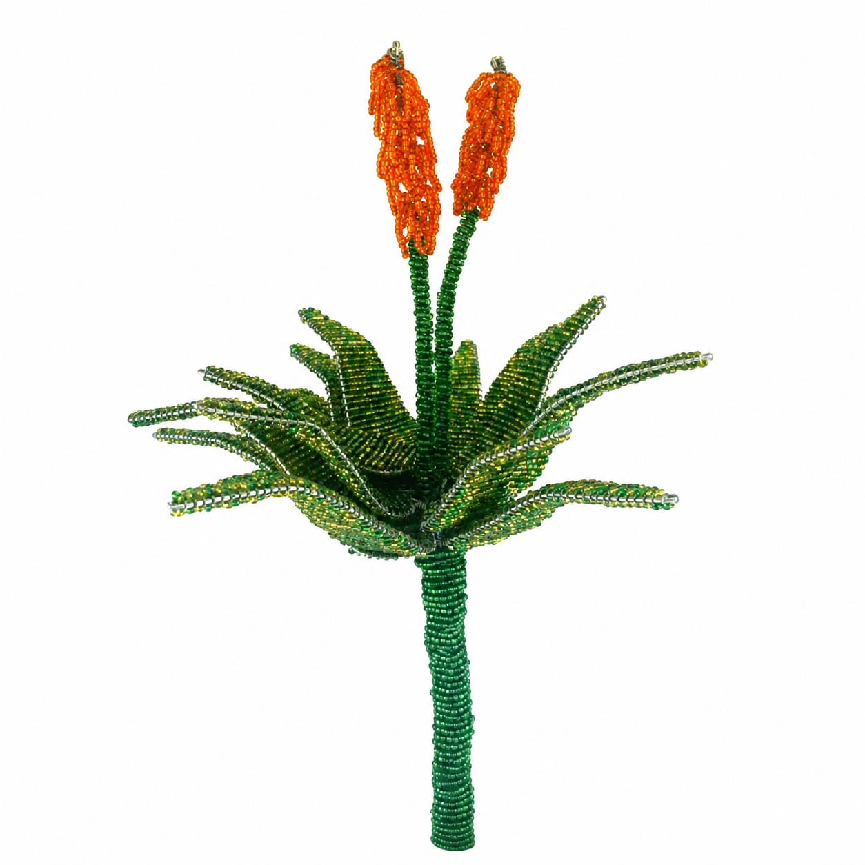 XL Beaded Aloe