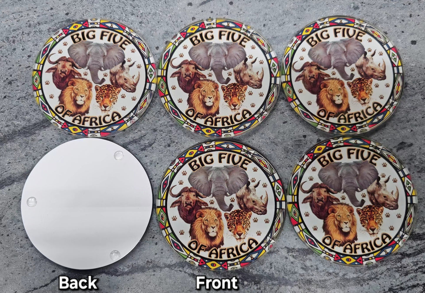6 pc Glass Big 5 Coaster Set