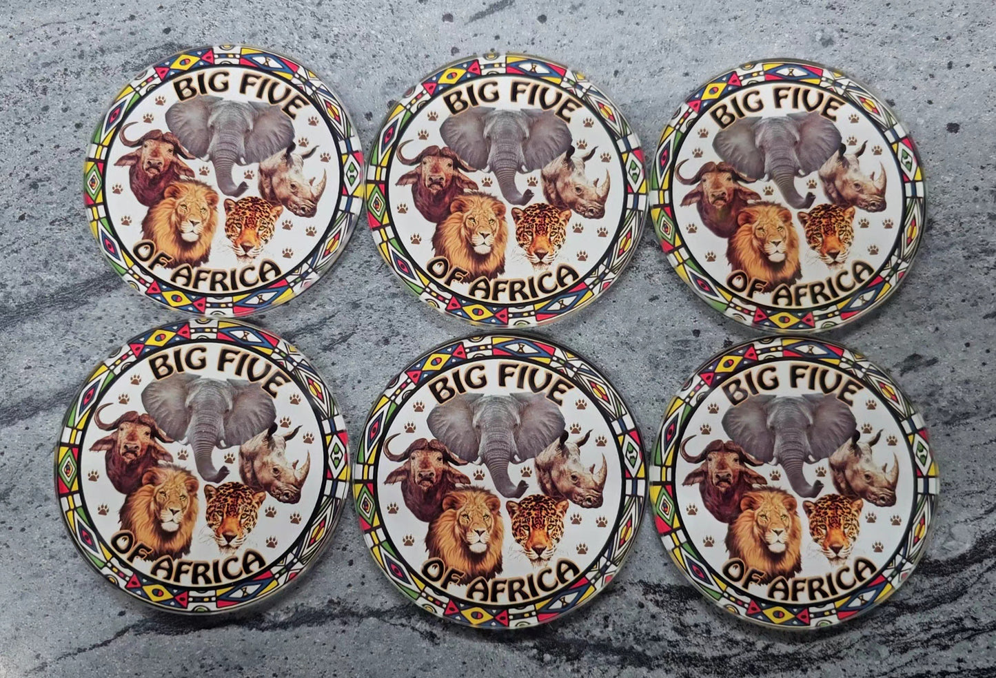 6 pc Glass Big 5 Coaster Set