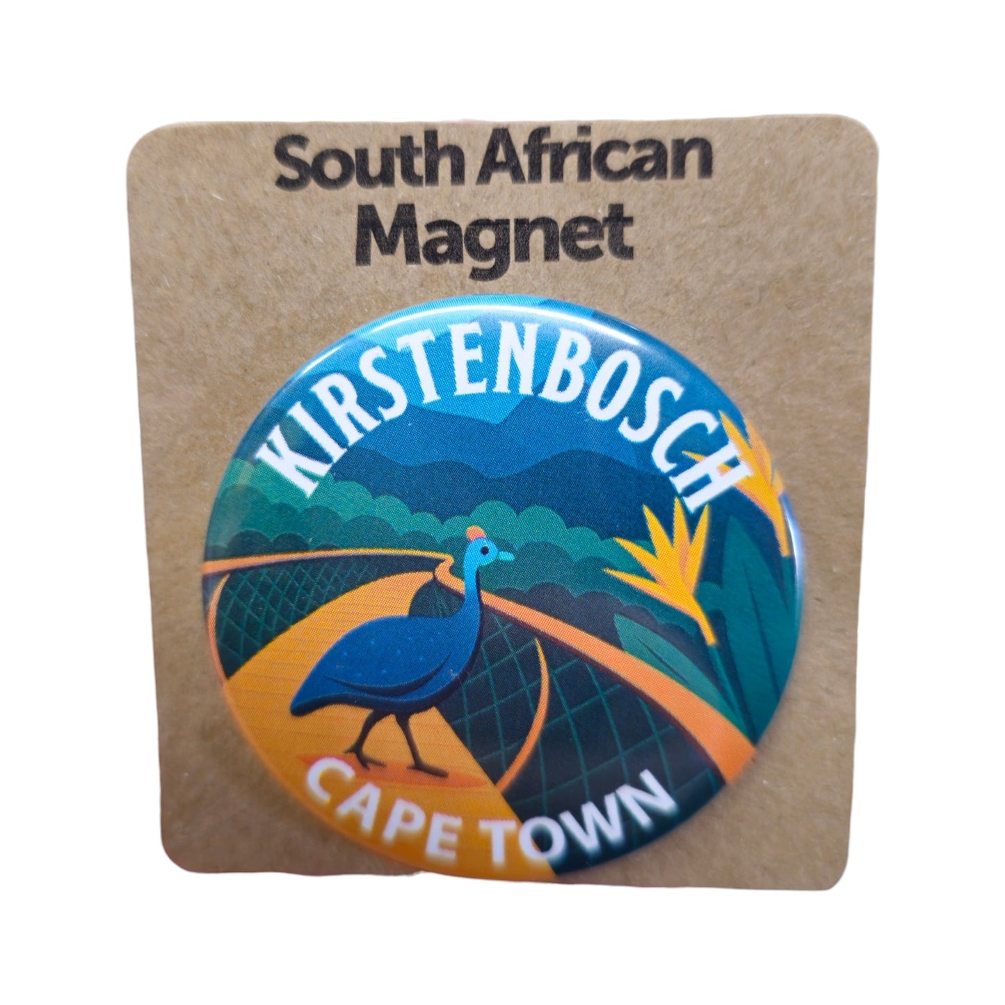 South African Iconic Landmark Magnets