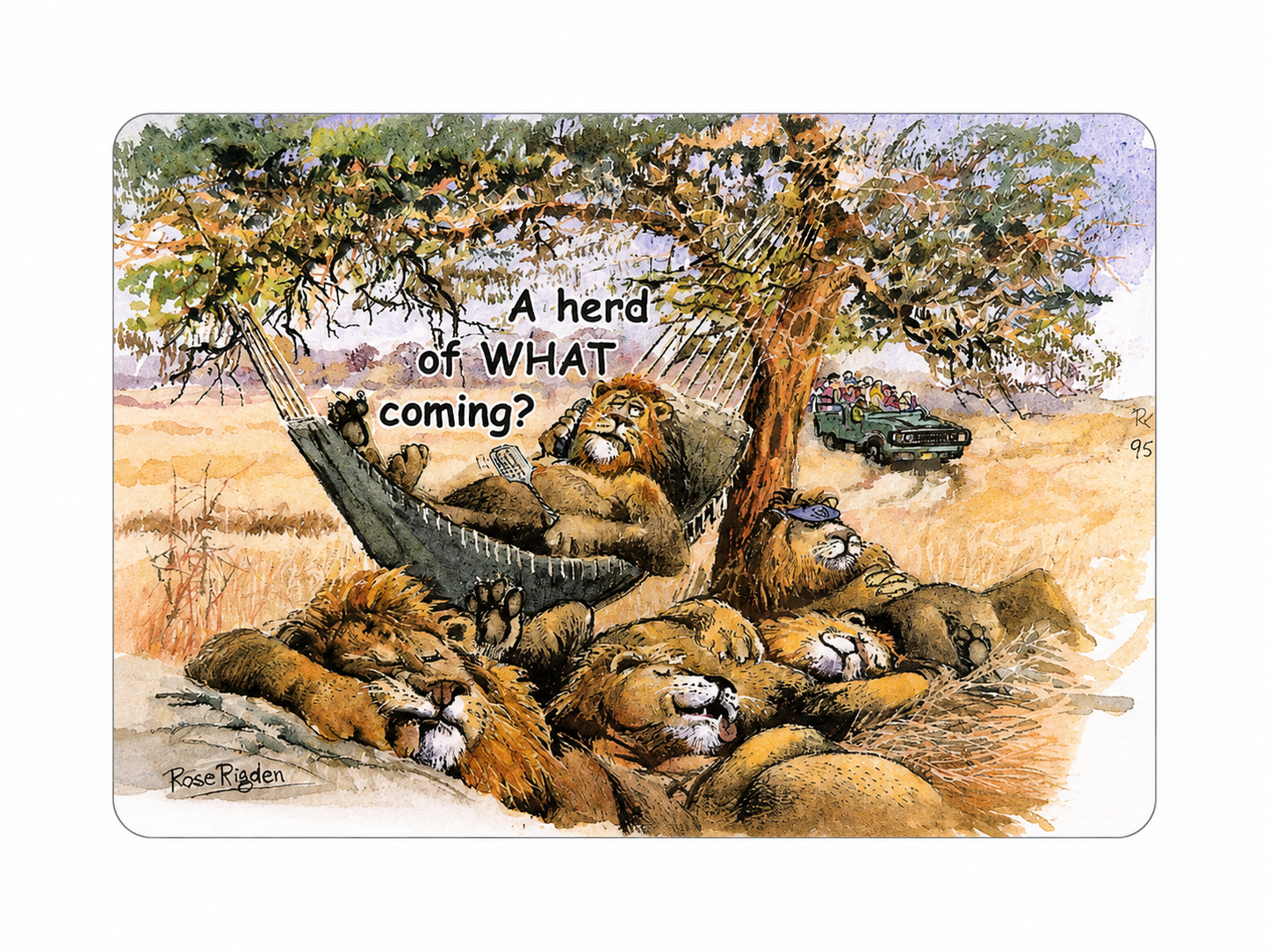 Safari Laminated Fridge Magnet