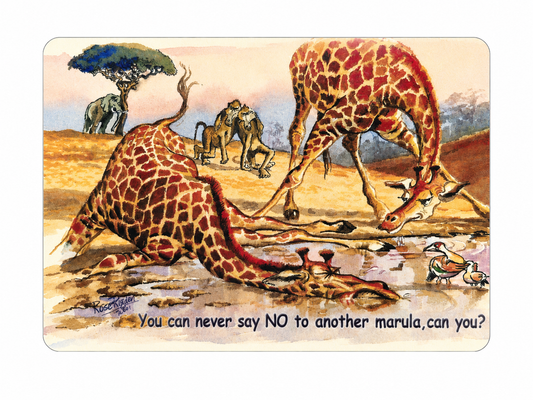 Safari Laminated Fridge Magnet