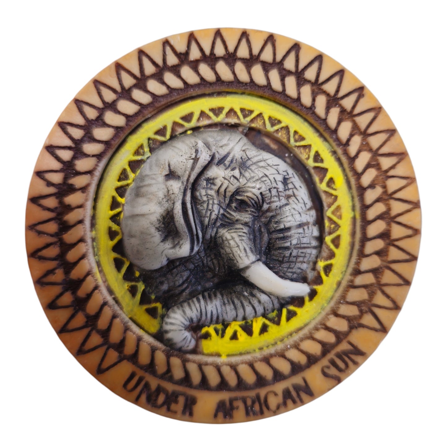 3D Under The Sun Safari Magnets