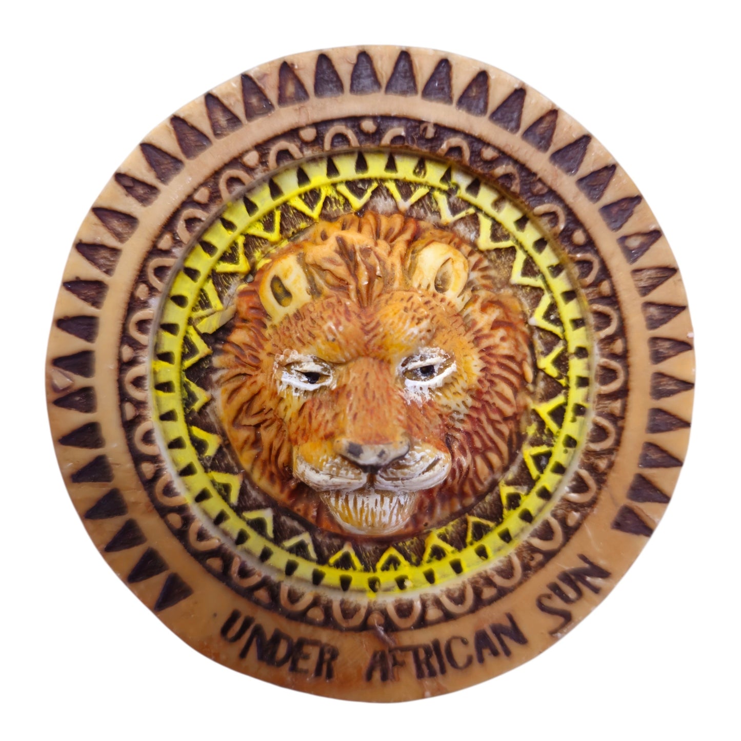 3D Under The Sun Safari Magnets