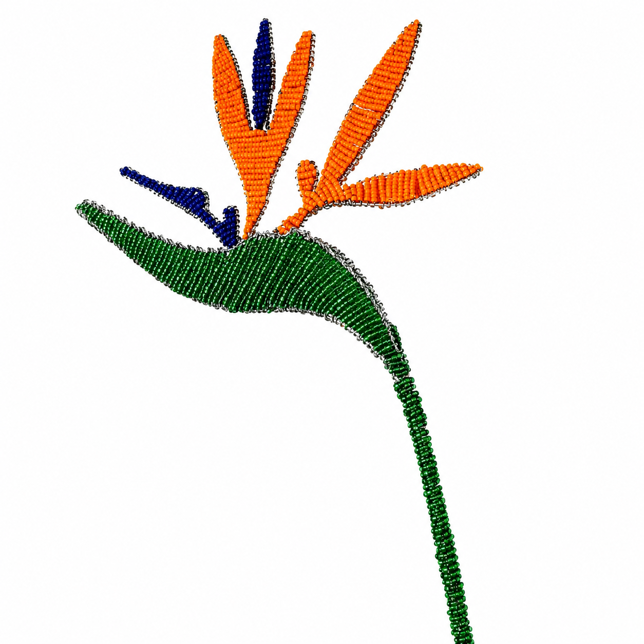 Beaded Strelitzia