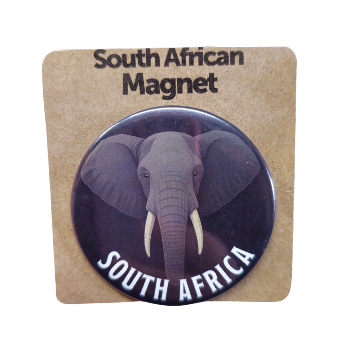 South African Safari Magnets