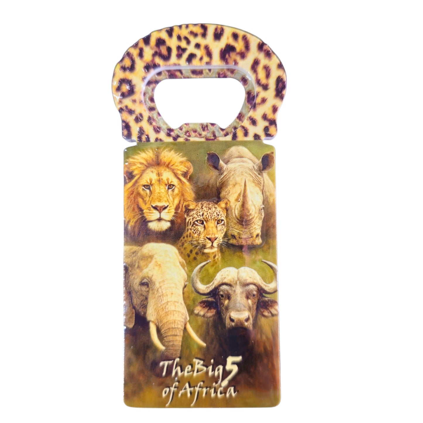 2 in 1 SA Magnetic Bottle Opener